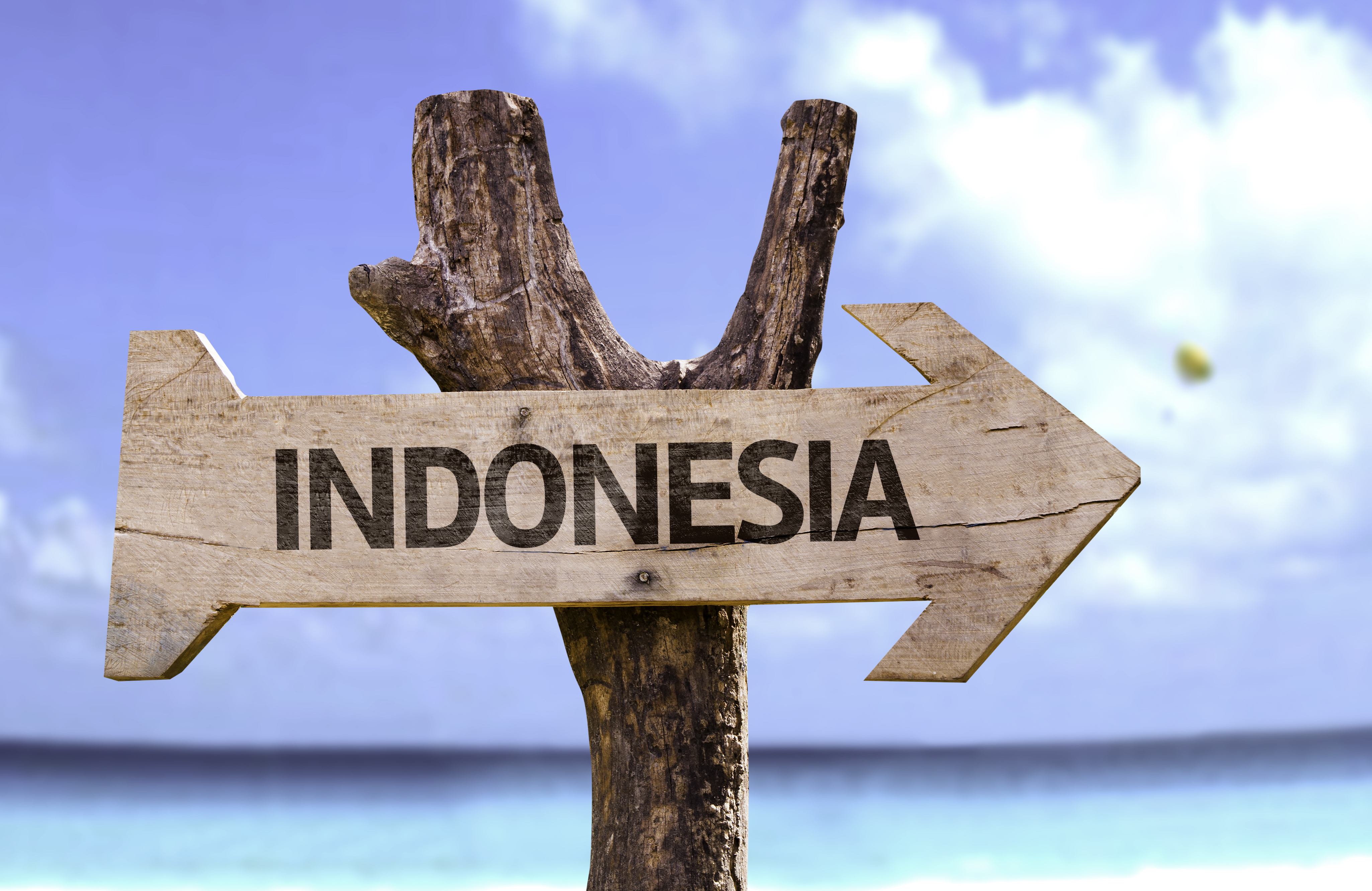 No+more+foreign+currencies-+what+that+means+for+you..