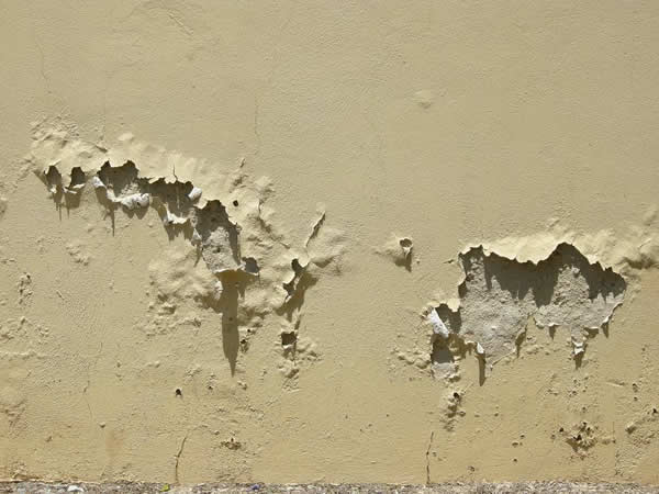 Damp+homes+and+health+risks