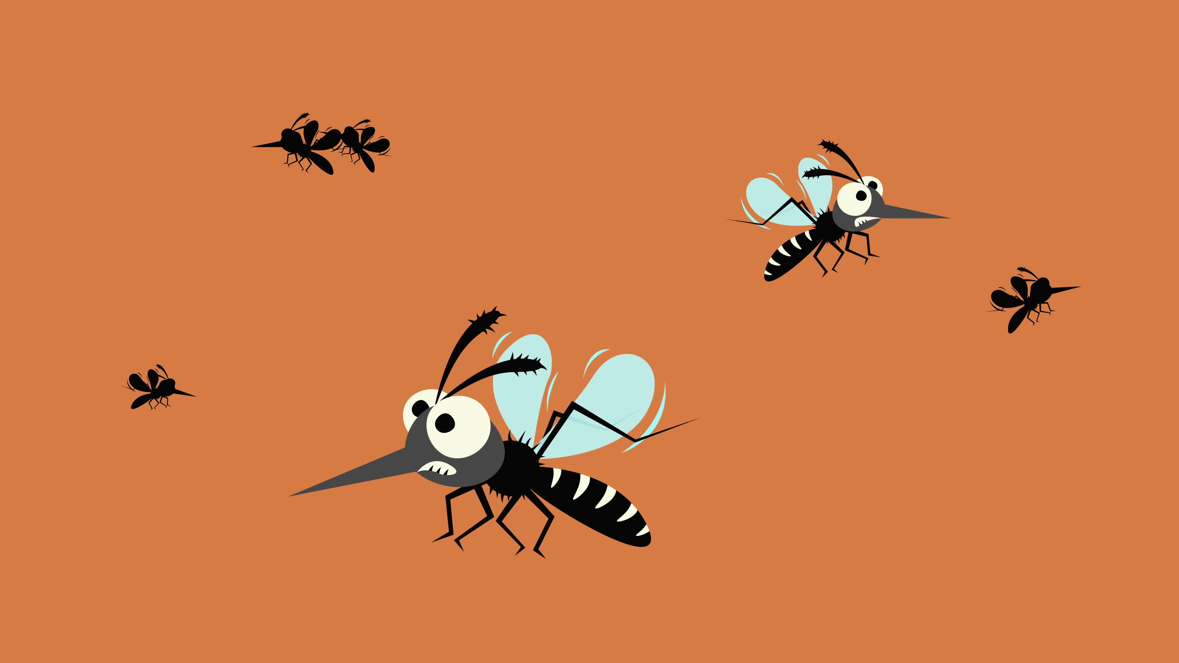 On environment and migrating mosquitos.